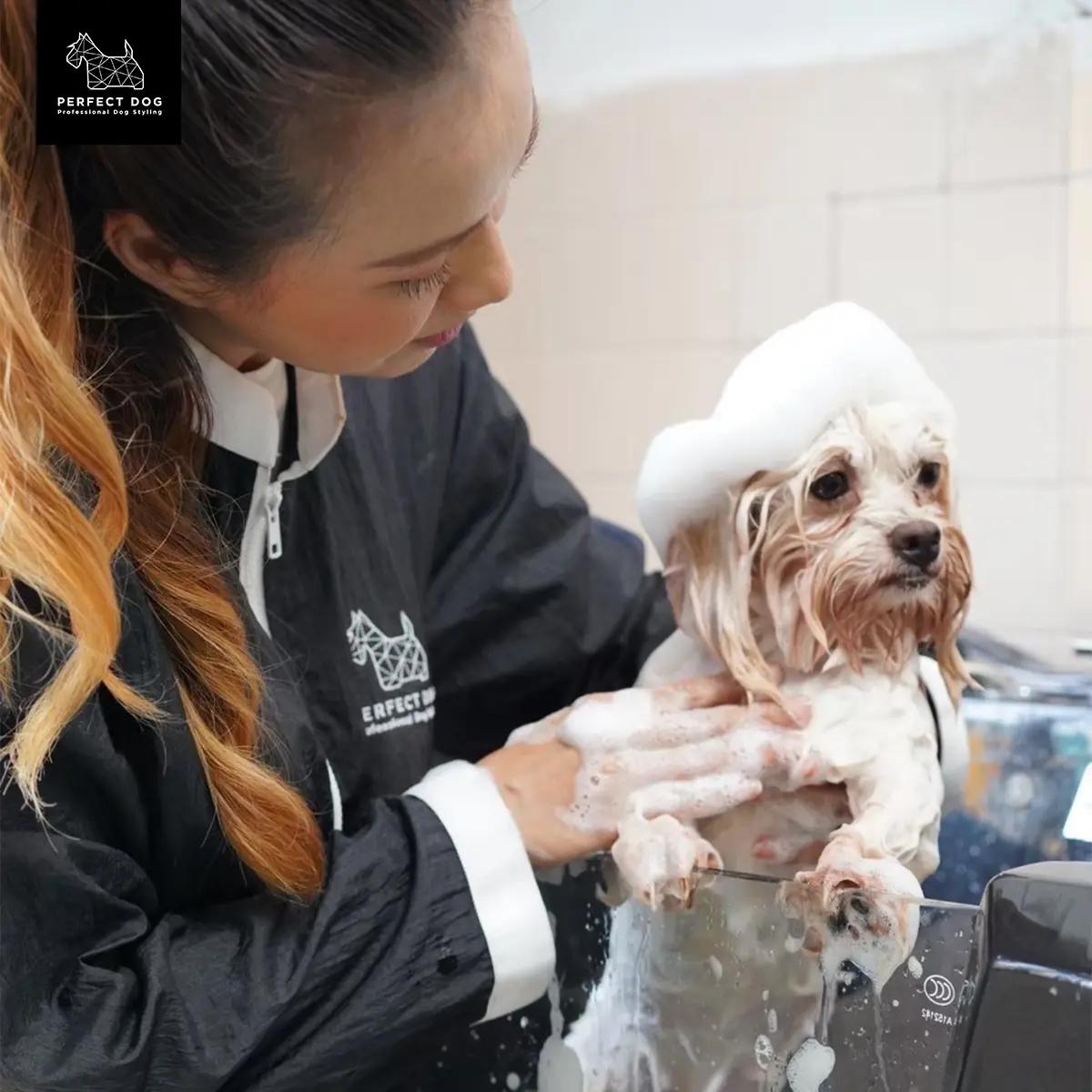 บริการอาบน้ำสุนัข ( FREE ตัดเล็บ-เช็ดหู-ไถใต้เท้า-ไถบริเวณท้อง รูก้น )