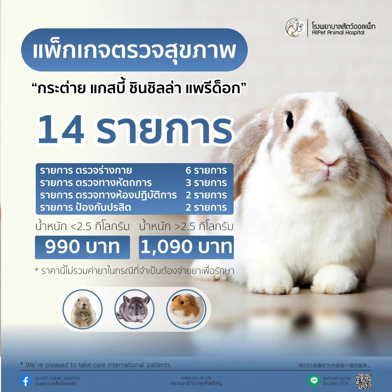 แพ็คเกจ ตรวจสุภาพ กระต่าย แกสบี้ ชินชิลล่า และแพรี่ด็อก น้ำหนักน้อยกว่า 25 กิโลกรัม